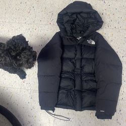 North Face Puffer 550 (New condition)