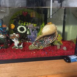 10 Gallons New Fish Tank And New Filters 