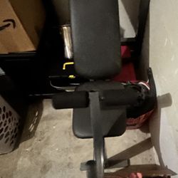 Weight  Bench With Free Weights