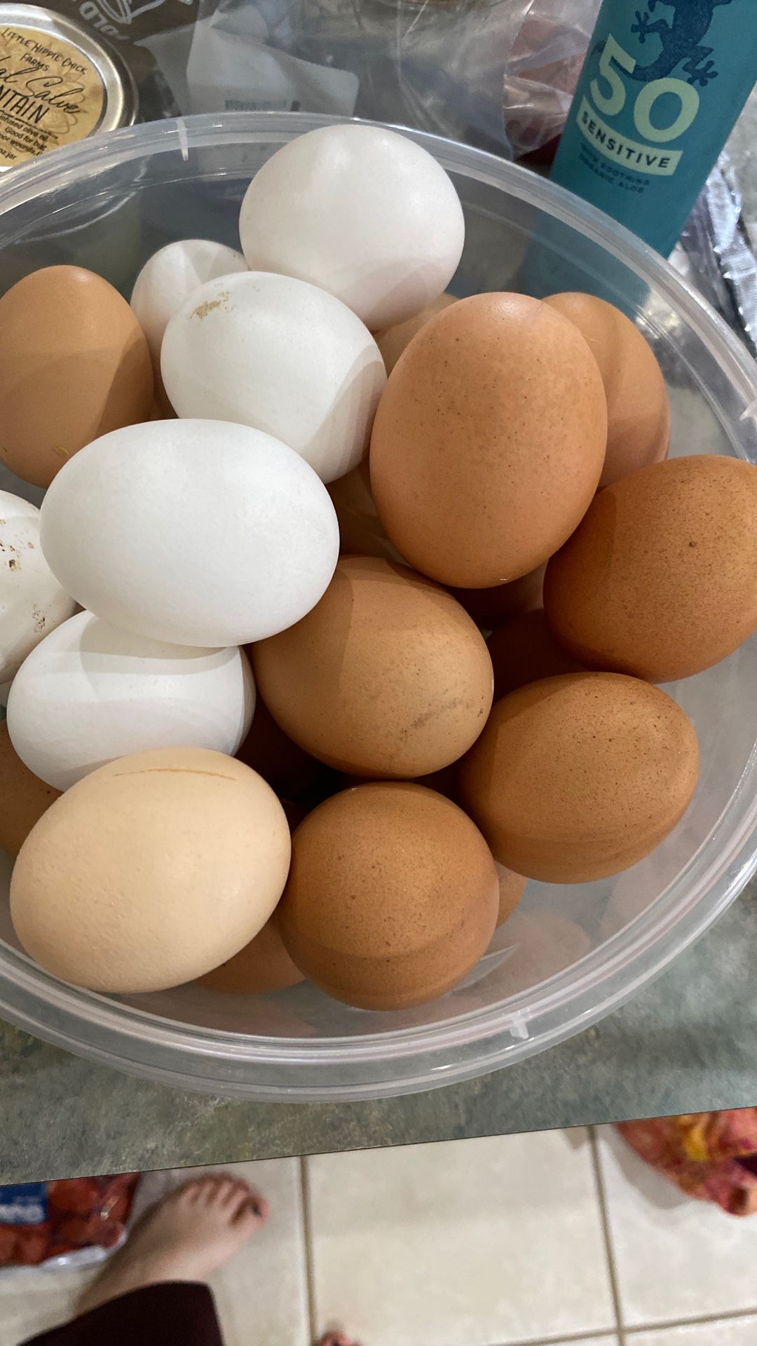 Fresh Free Range Non-GMO Chicken Eggs