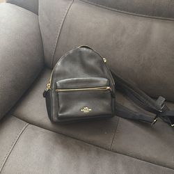 Coach mini handbag