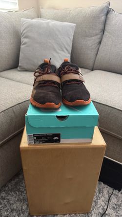 Nike SB Trainerendor