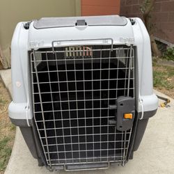 Dog Kennel