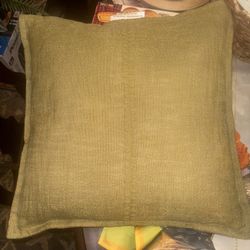 New Outdoor Olive Green 18x18 Threshold Throw Pillows (4)