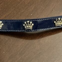 Dog Leash 