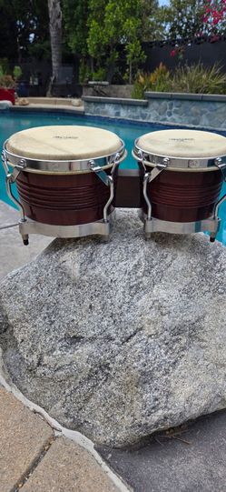 Bongos