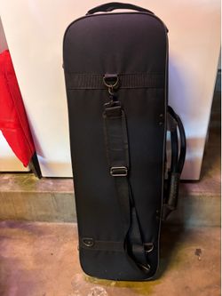Viola lightly used for sale