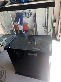 Fish tank