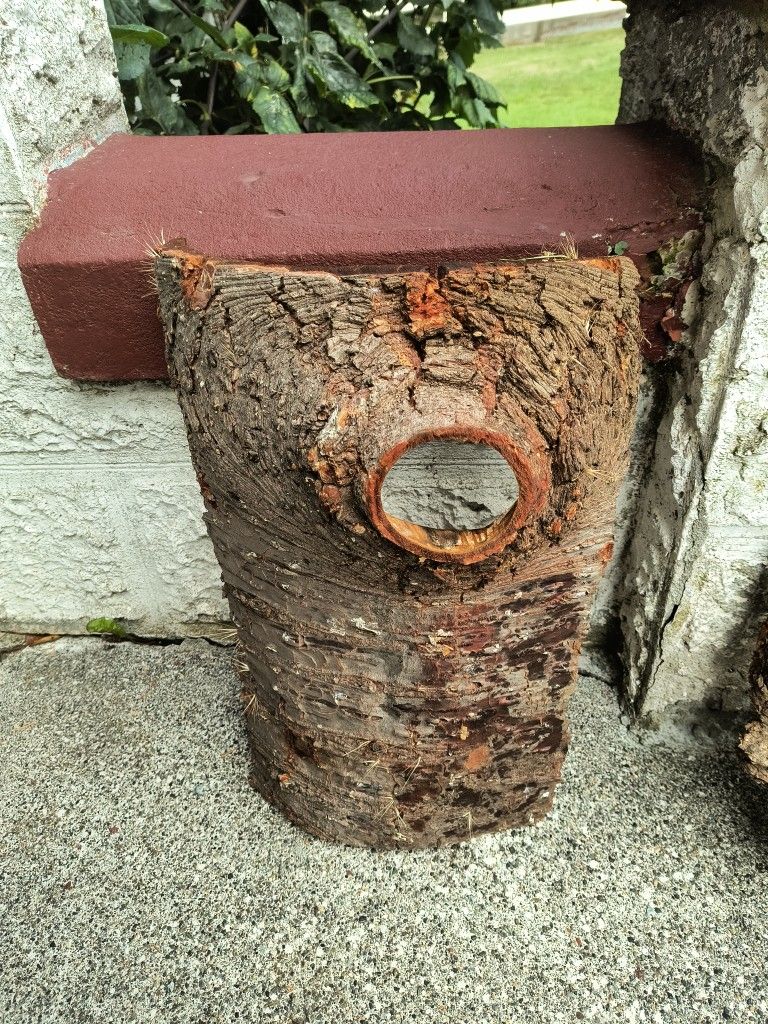 Fir Wood Bark Knot Holes 2 Pieces- Choice