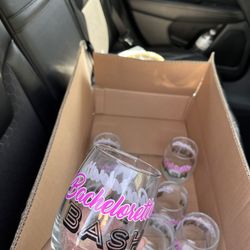 Bachelorette Party Glasses