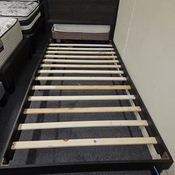 Brand New Gray Twin XL Wooden Platform Bedframe (38"×80")