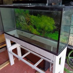 Fish Tank 55g