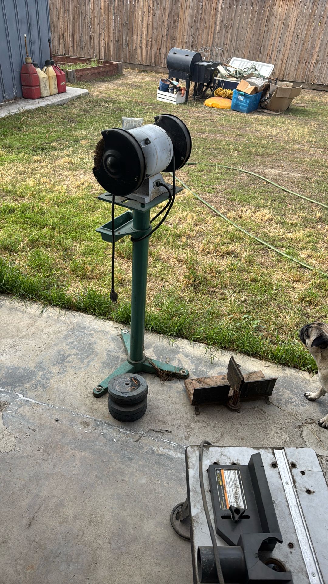 6” Inch Bench Grinder