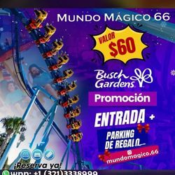 Los Mejores Precios De Orlando Fl