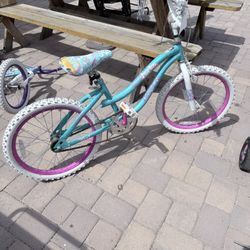 Girls Bicycle 20 Inch 