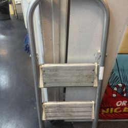 2 Step Ladder