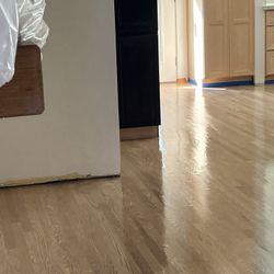 Vinyl Laminate Hardwood Flooring Refinish Beisboard