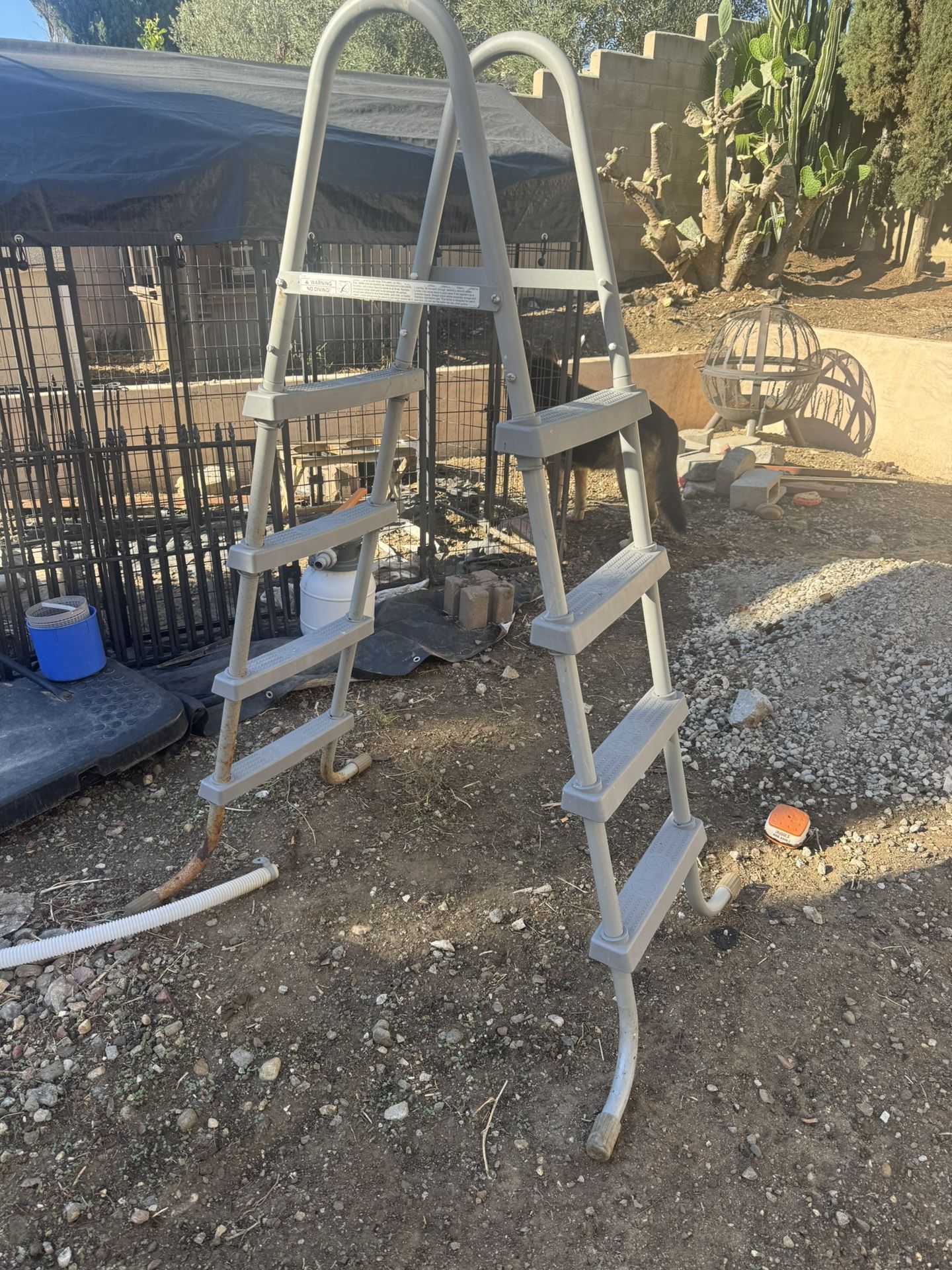 Pool Ladder