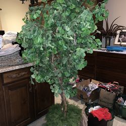 faux ficus 6+ foot tall in ceramic pot with ferns