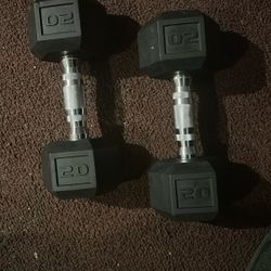 2 20 Pound Dumbells 
