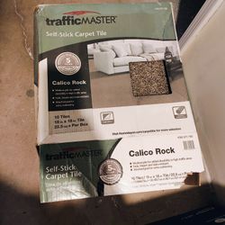 Traffic Master Self Stick Carpet Tile