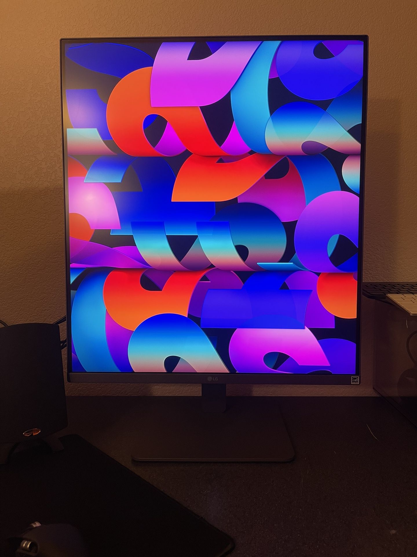 LG DualUp Monitor (2560 x 2880)