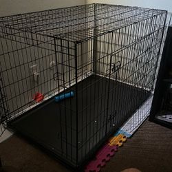 Dog Kennel 