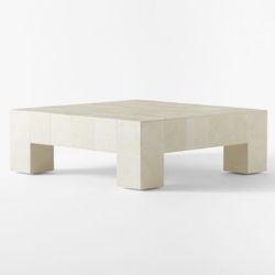 CB2 Indoor/ Outdoor Coffee table 