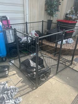 Dog Cage