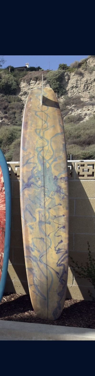 Longboard And Board Bag