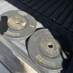45lb/20kg Uesaka Olympic rubber bumper competition weight pair