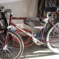 ORIGINAL Diamond Back Apex/ 10 Speed. /24inch