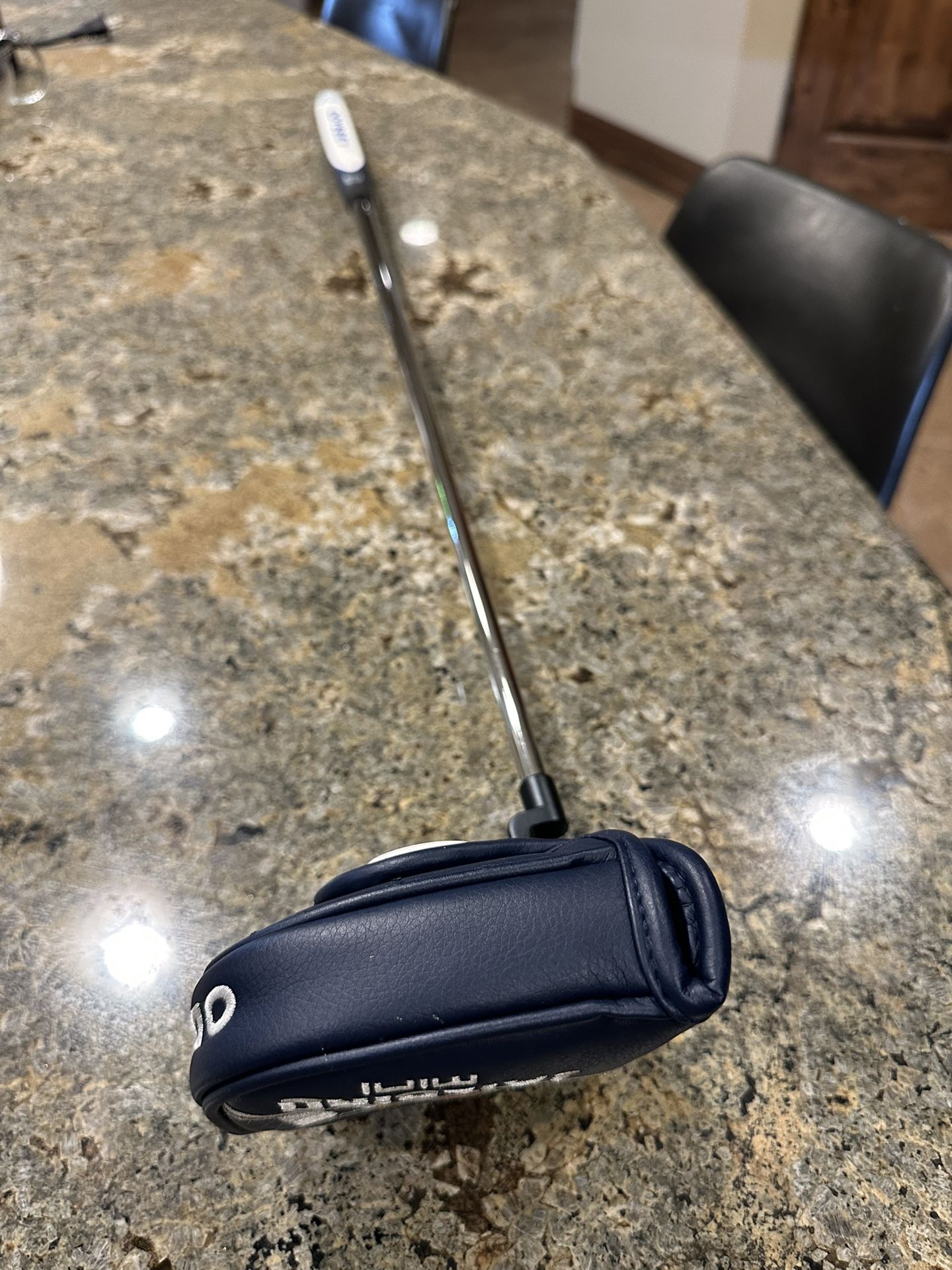 ODYSSEY Jailbird Mini CH
