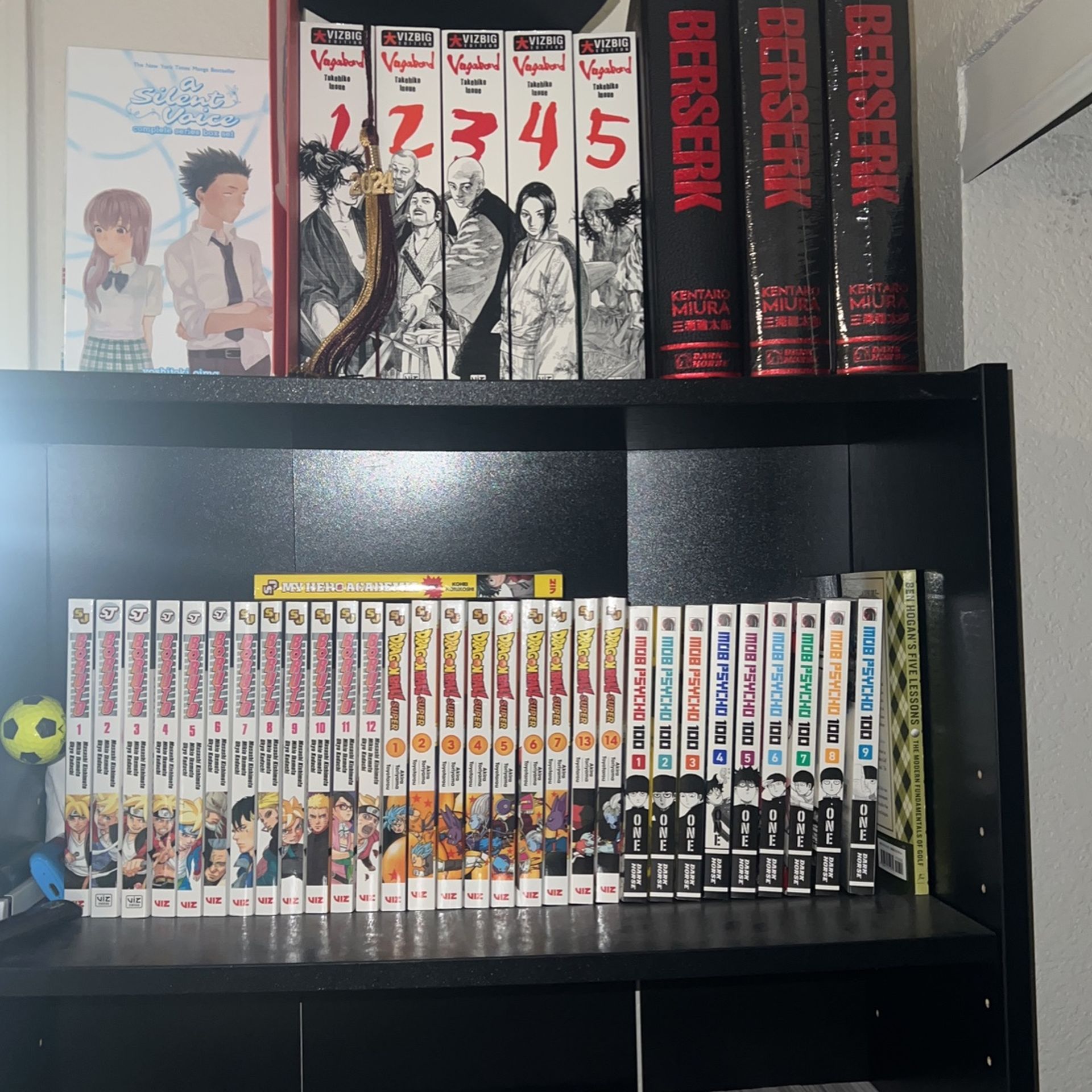 Manga And Graphic Novels