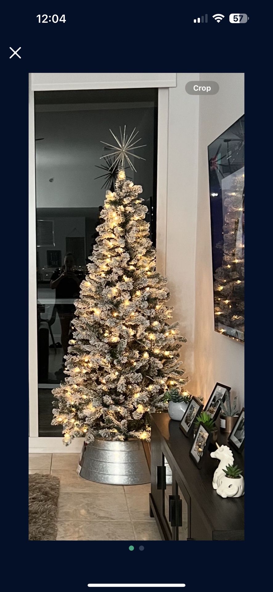 Snow Flocked Christmas Tree