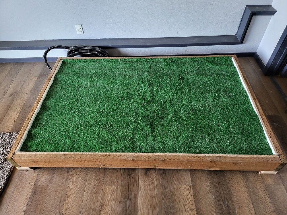 Dog Potty