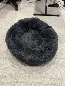 Dog/cat Bed