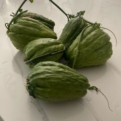 Chayotes Plants $7 Each