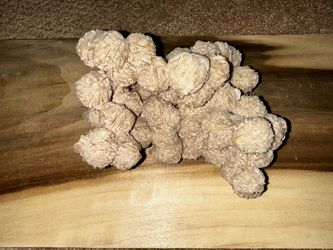 UNIQUE DESERT ROSE GEM CLUSTER