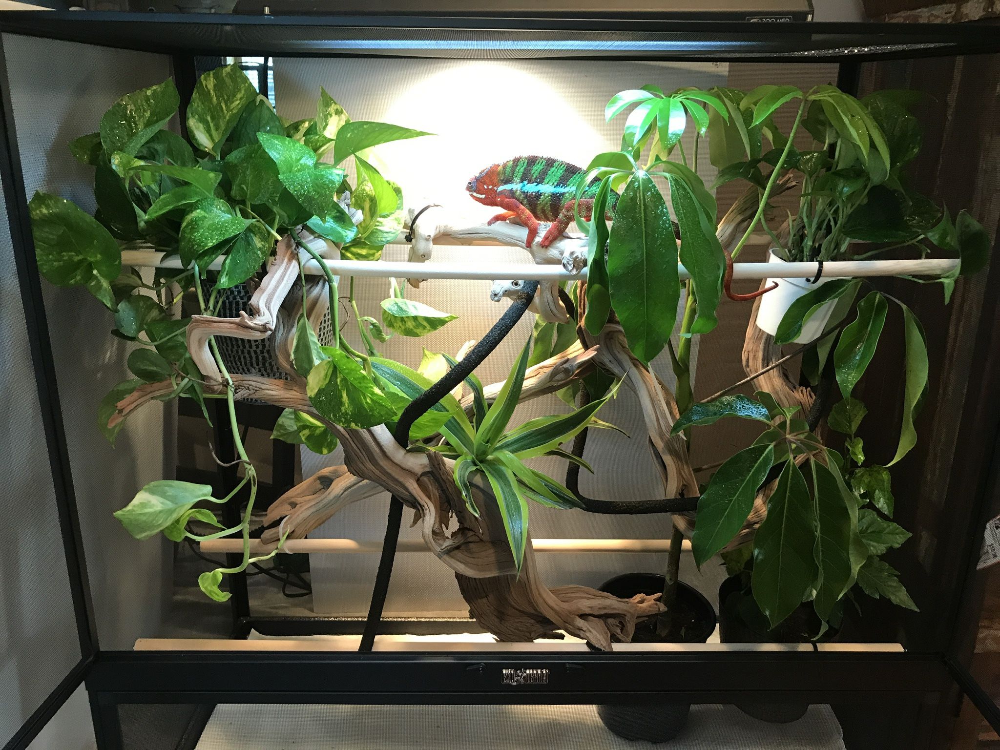 NIB Zoo Med ReptiBreeze Double Door Screen Cage 36 x 18 x 36"