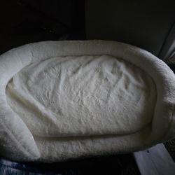 Above Ground Cat Or Amall Dog Bed