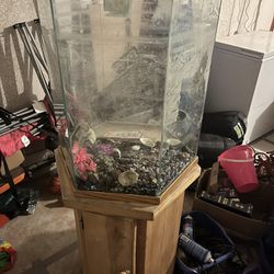 30 Gallon Octagon Fish Aquarium Tank, Used