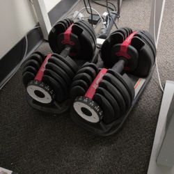 Multi-level Free Weights 