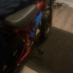 48v Tamobyke V20 Pro