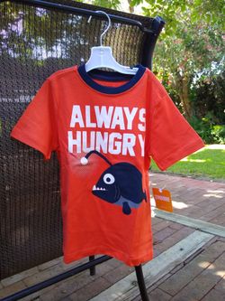 Boy cool shirt (3T)