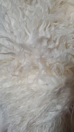 Faux fur Mongolian 62" wide off white color $20 yard