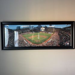 Camden Yards Wall Photo