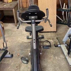 Everlast Bike