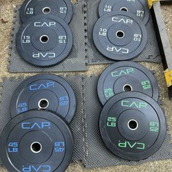 Bumper Plates Weights 