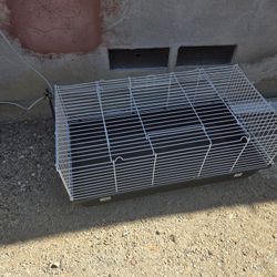 Small Pet Cage Guinea Pig(?)